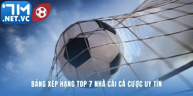 Top 7 nhà cái cá cược uy tín dẫn đầu thị trường