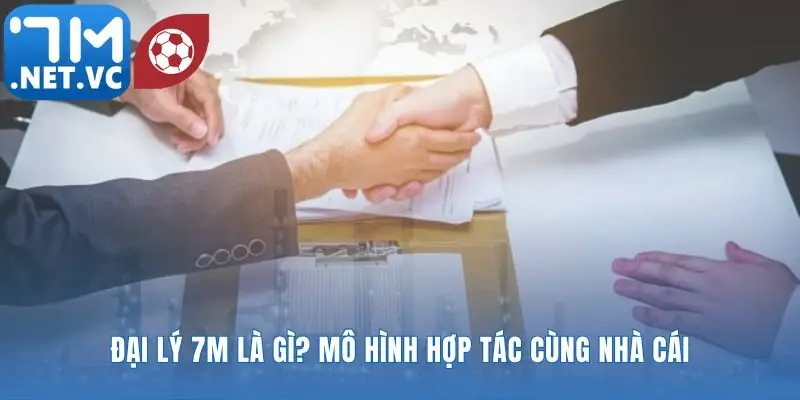 Nền tảng vững chắc cho mọi đối tác của đại lý 7m