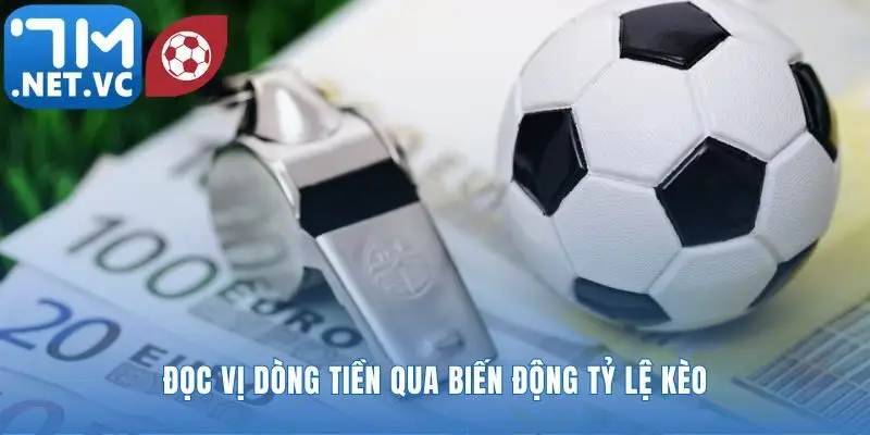 Dòng tiền dịch chuyển và câu chuyện nó tiết lộ