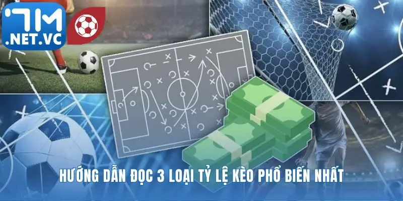 Phân tích ba loại tỷ lệ kèo thông dụng nhất