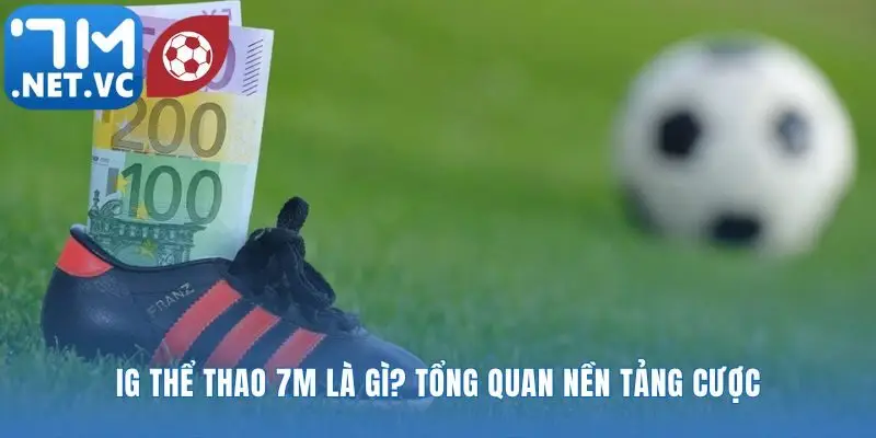 Nhìn vào bản thiết kế của một nền tảng cược ưu tú