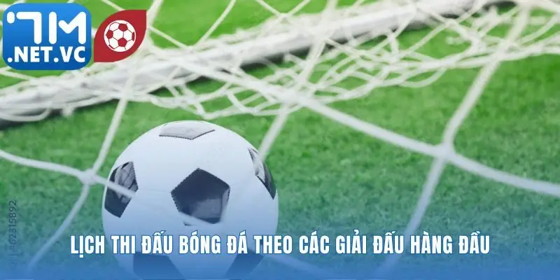 Theo dõi hành trình đội bóng mà bạn yêu thích