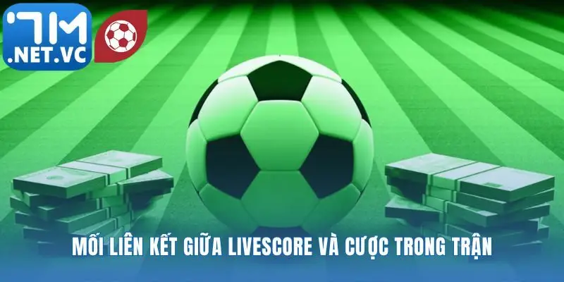 Biến bảng tỷ số thành trung tâm chỉ huy cược