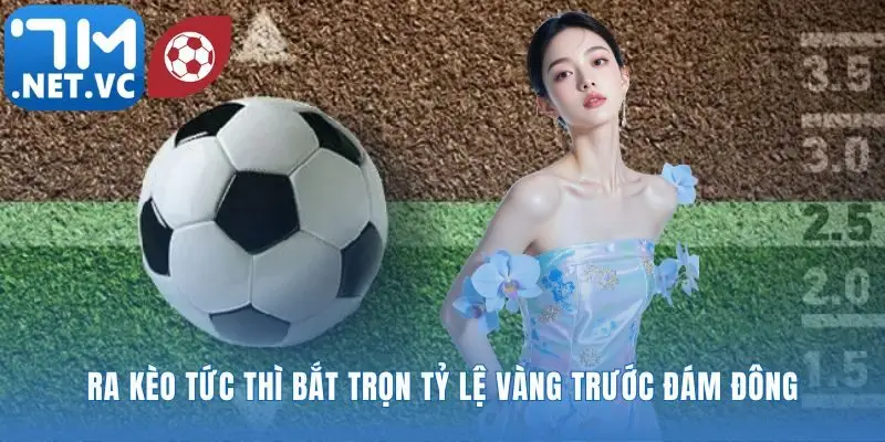 Chớp cơ hội vàng với tốc độ từ UG thể thao 7m