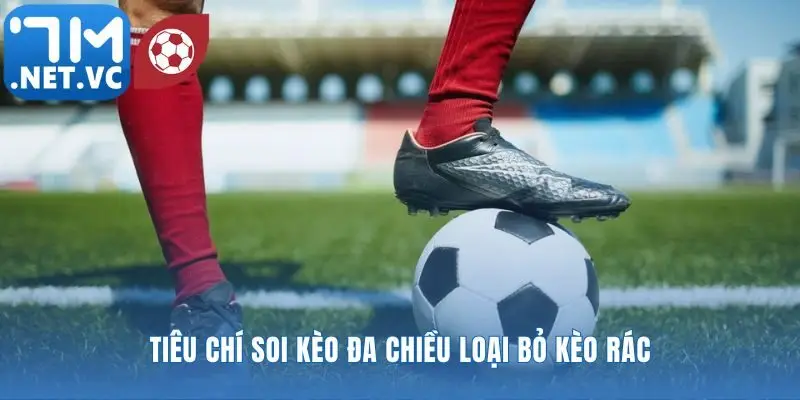 Xây dựng hệ thống phân tích khách quan và toàn diện