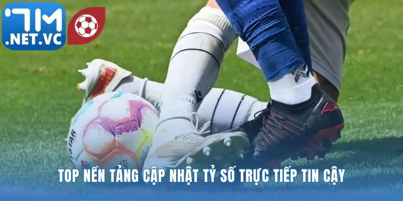 Chọn đúng nguồn tin cậy để có dữ liệu chuẩn xác